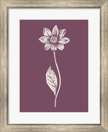 Framed Dahlia Purple Flower Print