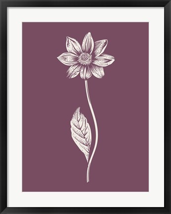 Framed Dahlia Purple Flower Print