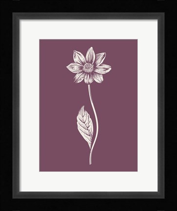 Framed Dahlia Purple Flower Print