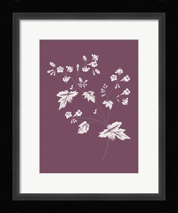 Framed Phacelia Purple Flower Print