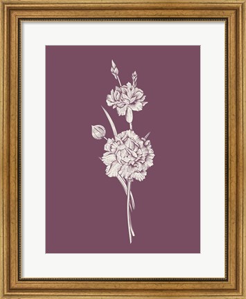 Framed Carnation Purple Flower Print