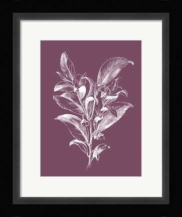 Framed Visnea Mocanera Purple Flower Print
