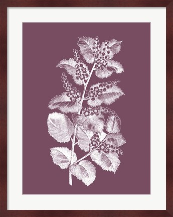 Framed Cerasus Purple Flower Print