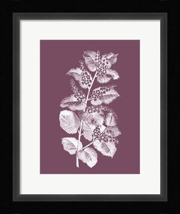 Framed Cerasus Purple Flower Print