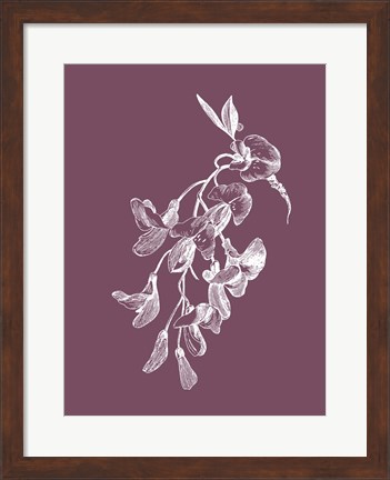 Framed Inflorescence Purple Flower Print