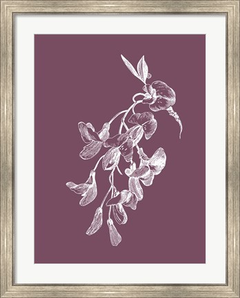 Framed Inflorescence Purple Flower Print