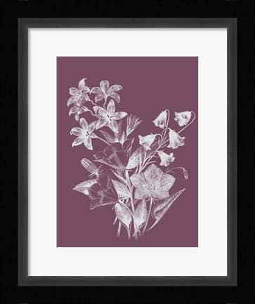 Framed Campanulas Purple Flower Print