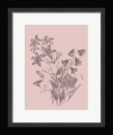 Framed Campanulas Blush Pink Flower Print