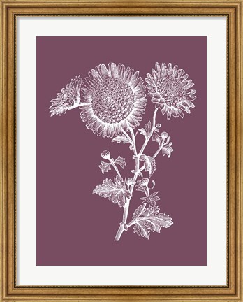 Framed Small Anemone Purple Flower Print