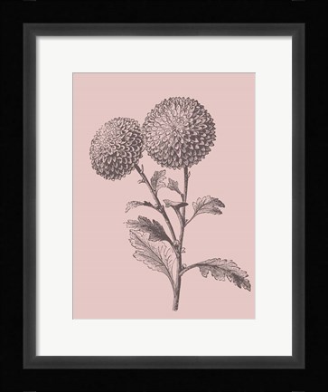 Framed Quilled Pompone Blush Pink Flower Print