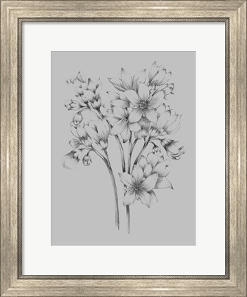 Framed Flower Drawing Print