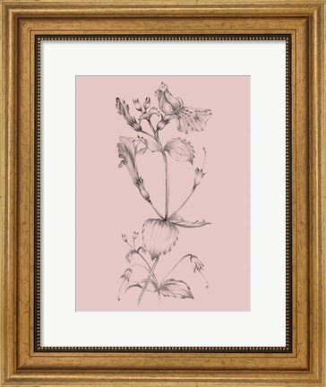 Framed Blush Pink Flower I Print