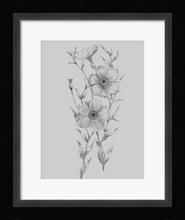 Framed Grey Flower Sketch Illustration I Print