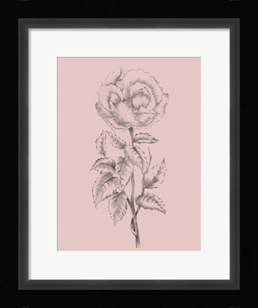 Framed Pretty Pink Flower Print