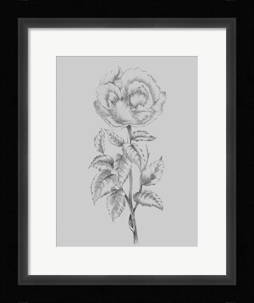 Framed Pretty Flower Print