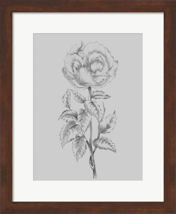 Framed Pretty Flower Print