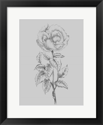 Framed Pretty Flower Print