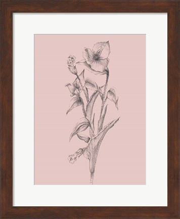 Framed Pretty Pink Flower I Print