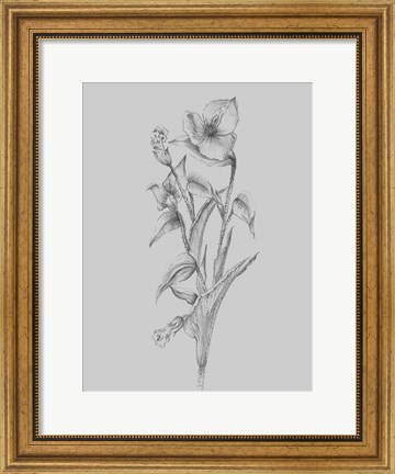 Framed Pretty Flower I Print