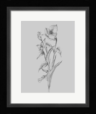 Framed Pretty Flower I Print