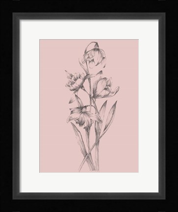 Framed Pretty Pink Flower II Print