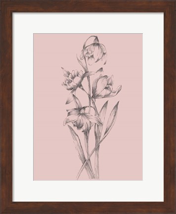 Framed Pretty Pink Flower II Print