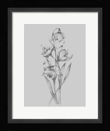 Framed Pretty Flower II Print