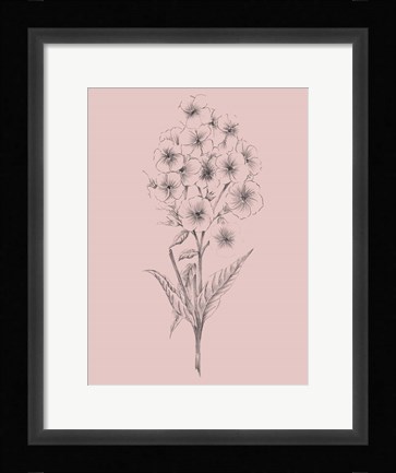 Framed Pretty Pink Flower III Print