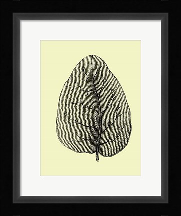 Framed Leaf Print