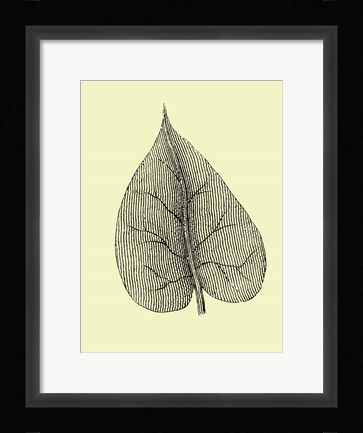 Framed Leaf I Print