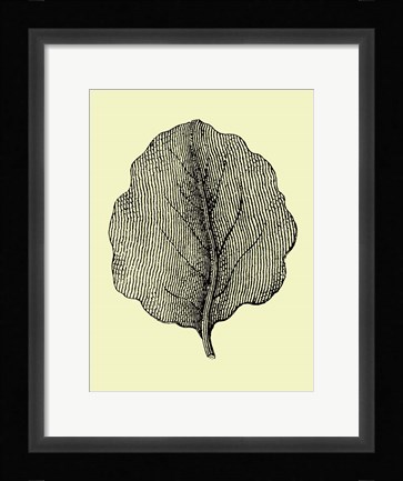 Framed Leaf II Print