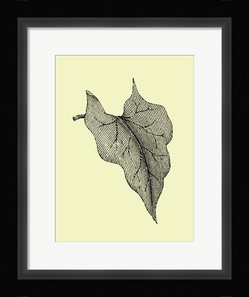 Framed Leaf III Print