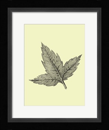Framed Floating Leaf Print