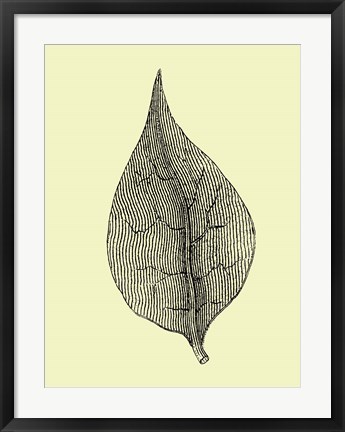 Framed Floating Leaf III Print