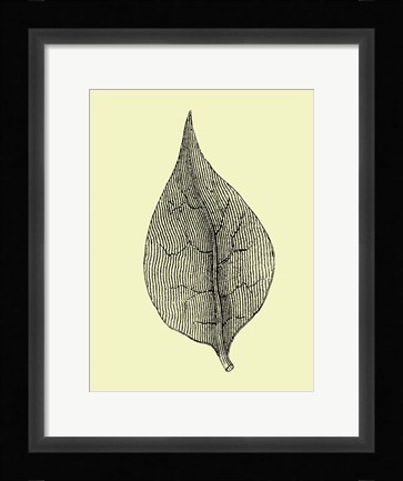 Framed Floating Leaf III Print