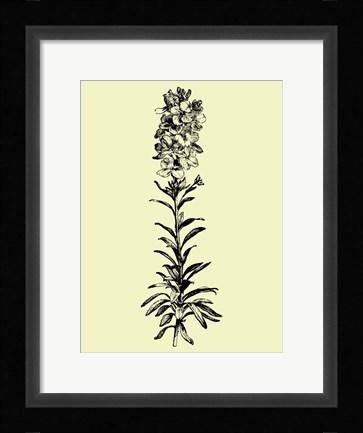 Framed Floating Flower I Print