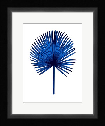 Framed Blue Chamaerops Leaf Print