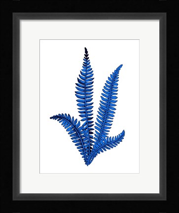 Framed Floating Blue Plant Print