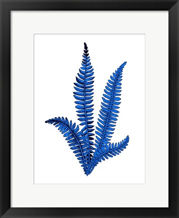 Framed Floating Blue Plant Print