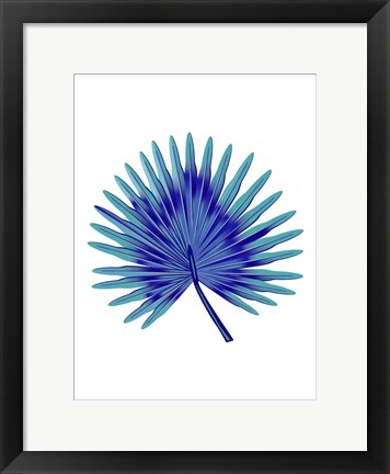 Framed Blue Tropical Leaf Print