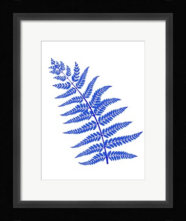 Framed Blue Leaf Plant Print