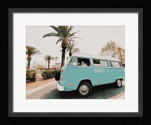 Framed Nocatee Print