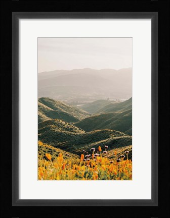 Framed Palomar Print