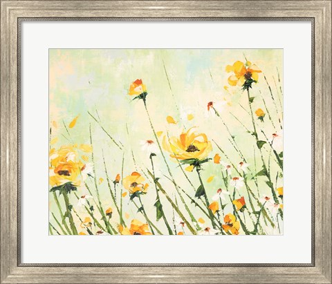 Framed Chrysanthemum and Daisy Field Print