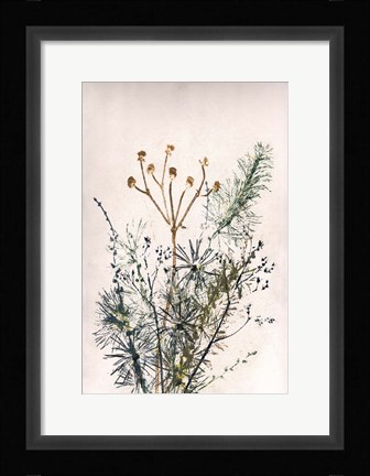 Framed Bouquet 5 Print