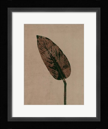 Framed Calathea Brown Print