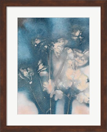 Framed Columbine 2 Peach Blue Print