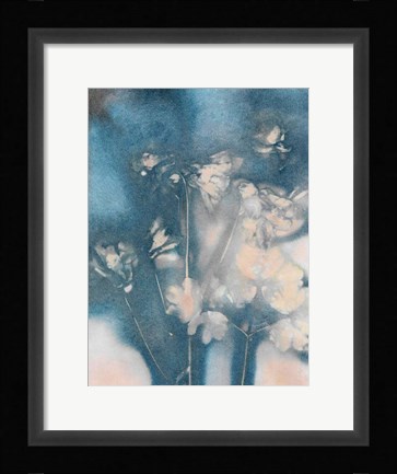 Framed Columbine 2 Peach Blue Print