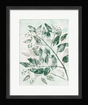 Framed Eucalyptus 1 Green Print