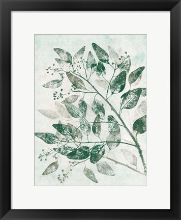 Framed Eucalyptus 1 Green Print